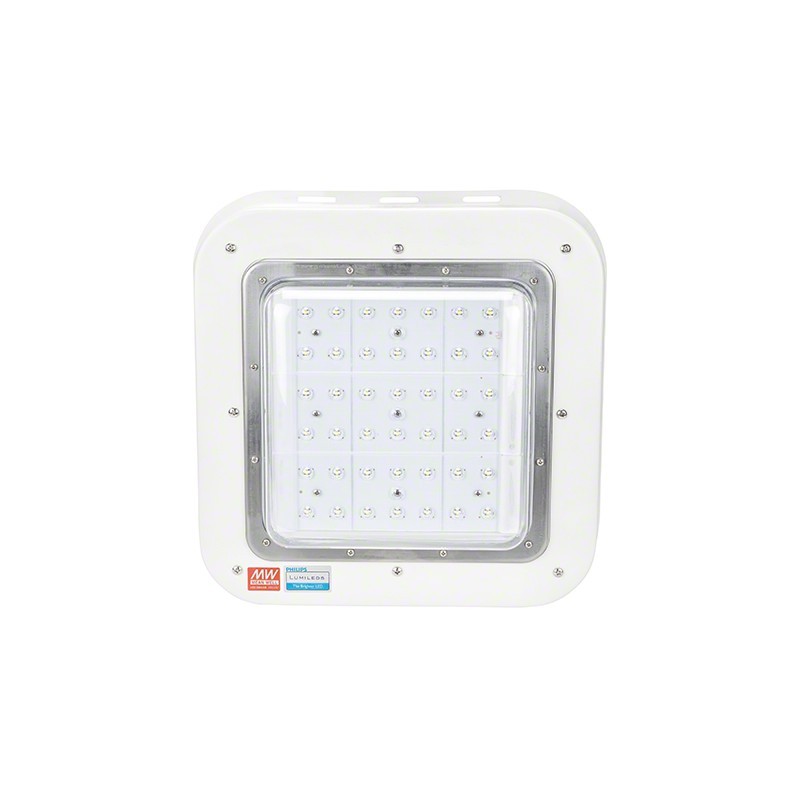 Luminaria LED Especial Gasolineras Lumileds/Meanwell IP65 Ik08 100W 9500Lm 100.000H
